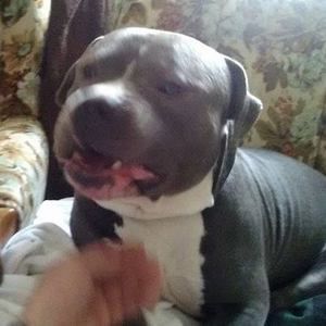 Meet your Posher, Carl